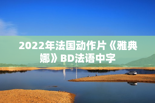 2022年法国动作片《雅典娜》BD法语中字