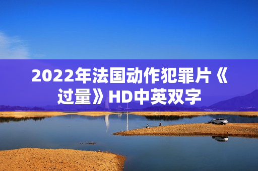 2022年法国动作犯罪片《过量》HD中英双字