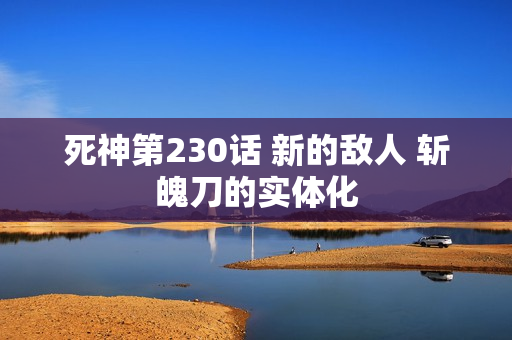 死神第230话 新的敌人 斩魄刀的实体化