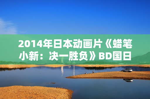 2014年日本动画片《蜡笔小新：决一胜负》BD国日双语中字