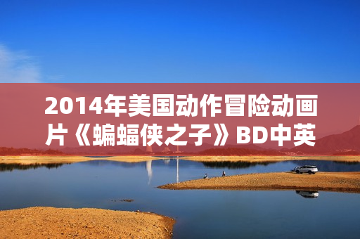 2014年美国动作冒险动画片《蝙蝠侠之子》BD中英双字