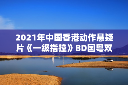 2021年中国香港动作悬疑片《一级指控》BD国粤双语中字