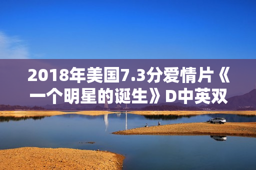 2018年美国7.3分爱情片《一个明星的诞生》D中英双字