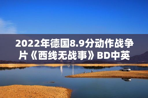 2022年德国8.9分动作战争片《西线无战事》BD中英双字