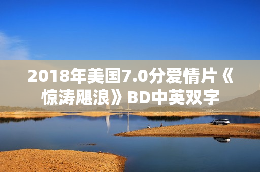 2018年美国7.0分爱情片《惊涛飓浪》BD中英双字