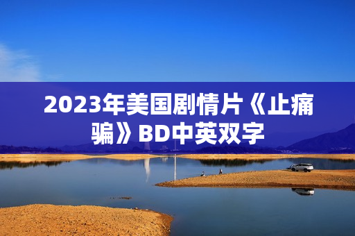 2023年美国剧情片《止痛骗》BD中英双字