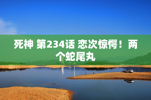 死神 第234话 恋次惊愕！两个蛇尾丸