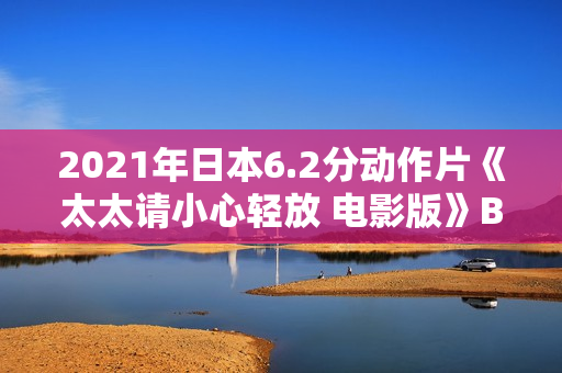 2021年日本6.2分动作片《太太请小心轻放 电影版》BD日语中字