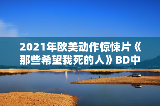 2021年欧美动作惊悚片《那些希望我死的人》BD中英双字
