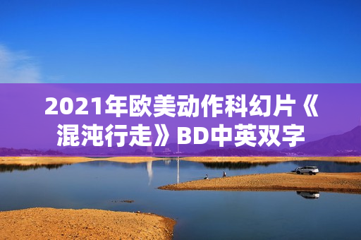 2021年欧美动作科幻片《混沌行走》BD中英双字