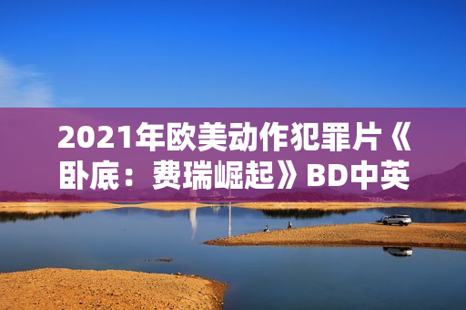 2021年欧美动作犯罪片《卧底：费瑞崛起》BD中英双字