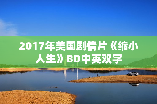 2017年美国剧情片《缩小人生》BD中英双字