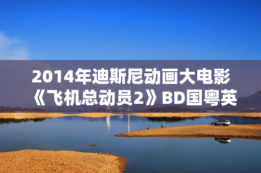 2014年迪斯尼动画大电影《飞机总动员2》BD国粤英3语双字