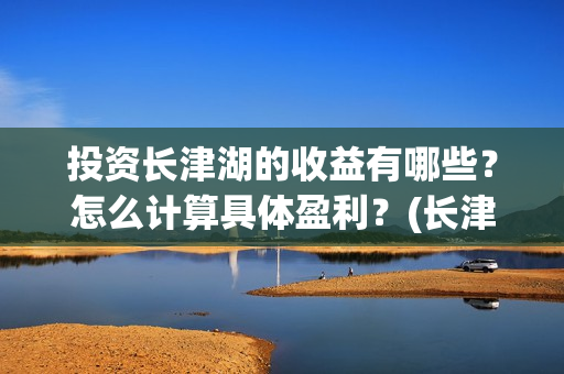 投资长津湖的收益有哪些？怎么计算具体盈利？(长津湖投资收益)