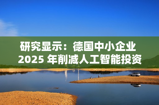 研究显示：德国中小企业 2025 年削减人工智能投资