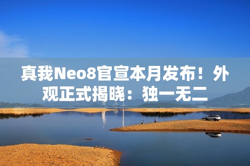 真我Neo8官宣本月发布！外观正式揭晓：独一无二