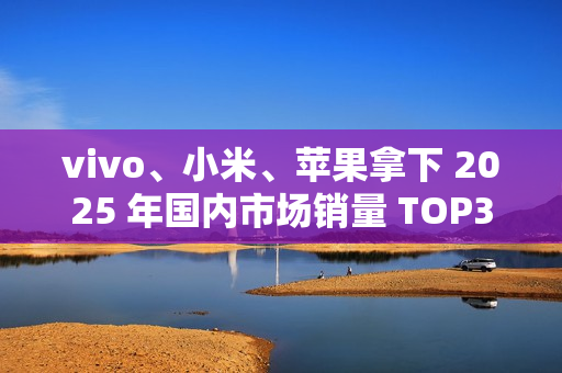 vivo、小米、苹果拿下 2025 年国内市场销量 TOP3，激活量超 4000 万