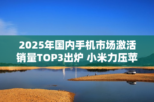 2025年国内手机市场激活销量TOP3出炉 小米力压苹果