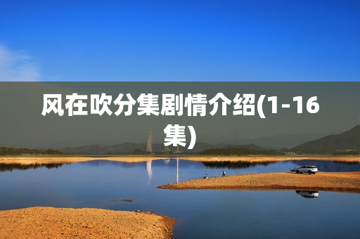 风在吹分集剧情介绍(1-16集) 风在吹分集剧情介绍(1-16集)