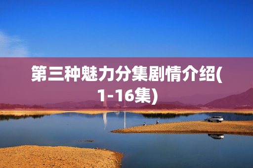 第三种魅力分集剧情介绍(1-16集) 第三种魅力分集剧情介绍(1-16集)