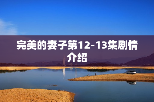 完美的妻子第12-13集剧情介绍