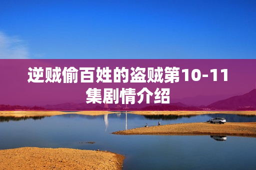 逆贼偷百姓的盗贼第10-11集剧情介绍 逆贼偷百姓的盗贼第10-11集剧情介绍