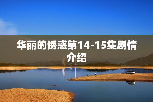 华丽的诱惑第14-15集剧情介绍