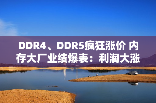 DDR4、DDR5疯狂涨价 内存大厂业绩爆表：利润大涨1500%!