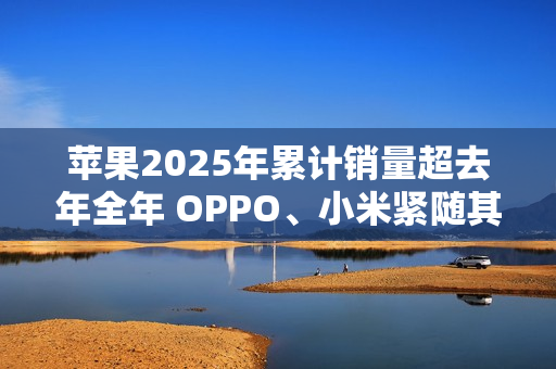 苹果2025年累计销量超去年全年 OPPO、小米紧随其后
