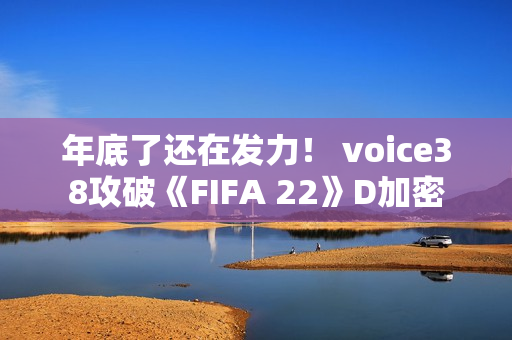 年底了还在发力！ voice38攻破《FIFA 22》D加密