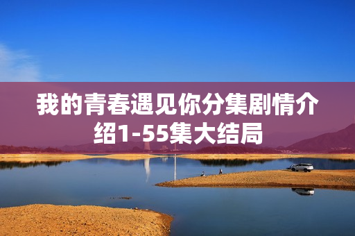 我的青春遇见你分集剧情介绍1-55集大结局