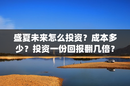 盛夏未来怎么投资？成本多少？投资一份回报翻几倍？(盛夏未来怎么买票)