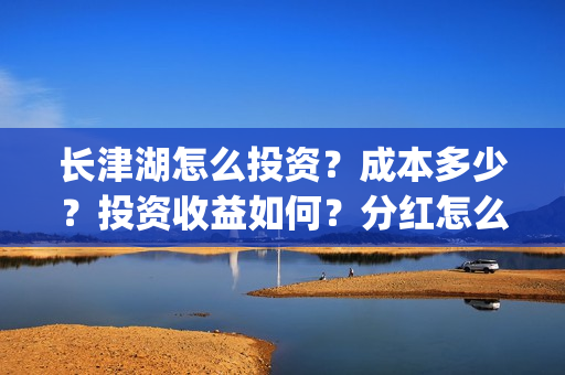 长津湖怎么投资？成本多少？投资收益如何？分红怎么分？(长津湖的投资额)