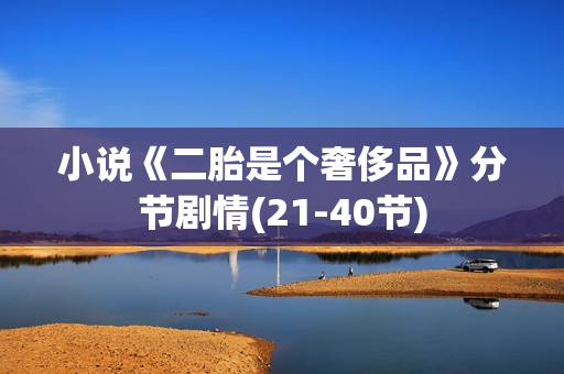 小说《二胎是个奢侈品》分节剧情(21-40节)