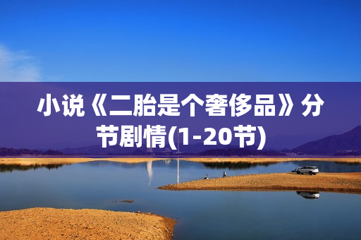 小说《二胎是个奢侈品》分节剧情(1-20节)