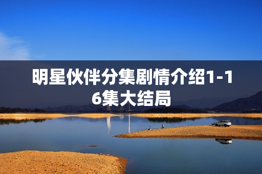 明星伙伴分集剧情介绍1-16集大结局