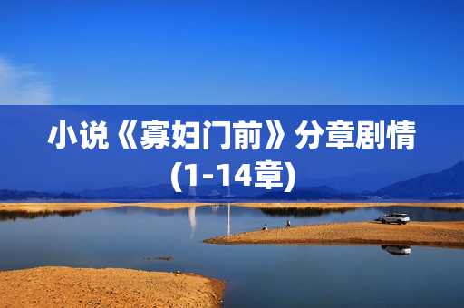 小说《寡妇门前》分章剧情(1-14章)