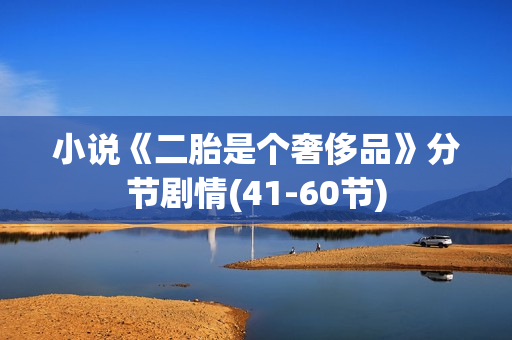 小说《二胎是个奢侈品》分节剧情(41-60节) 小说《二胎是个奢侈品》分节剧情(41-60节)