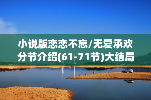 小说版恋恋不忘/无爱承欢分节介绍(61-71节)大结局