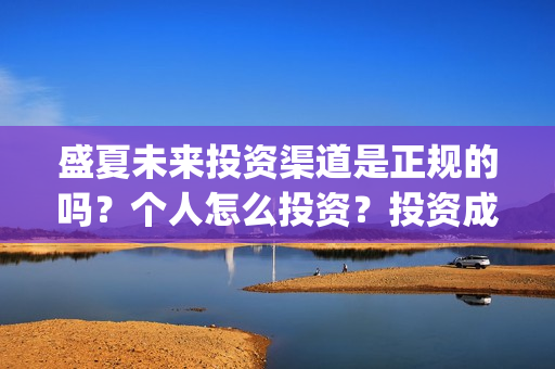 盛夏未来投资渠道是正规的吗？个人怎么投资？投资成本是多少？(盛夏未来能投吗)