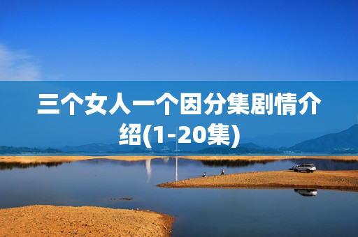 三个女人一个因分集剧情介绍(1-20集)