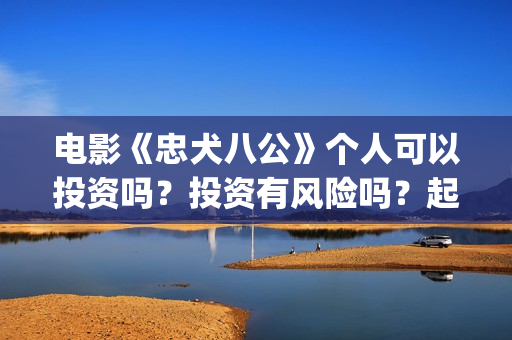 电影《忠犬八公》个人可以投资吗？投资有风险吗？起投门槛是多少？(电影《忠犬八公》免费的)