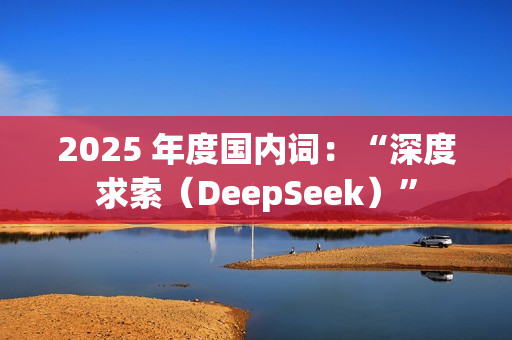 2025 年度国内词：“深度求索（DeepSeek）”