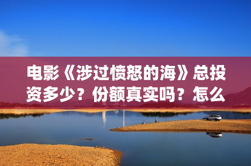 电影《涉过愤怒的海》总投资多少？份额真实吗？怎么参与投资？成本多少？(电影涉过愤怒的海演员表)