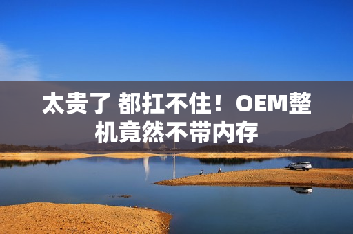 太贵了 都扛不住!OEM整机竟然不带内存 太贵了 都扛不住!OEM整机竟然不带内存