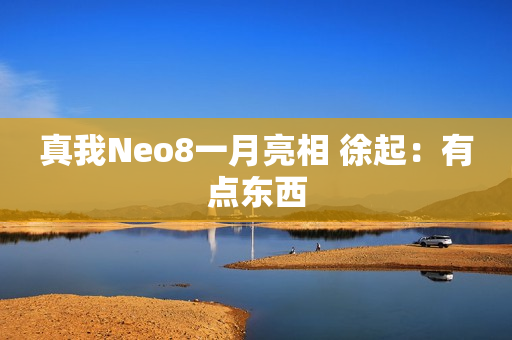 真我Neo8一月亮相 徐起：有点东西