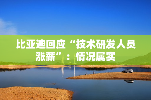 比亚迪回应“技术研发人员涨薪”：情况属实