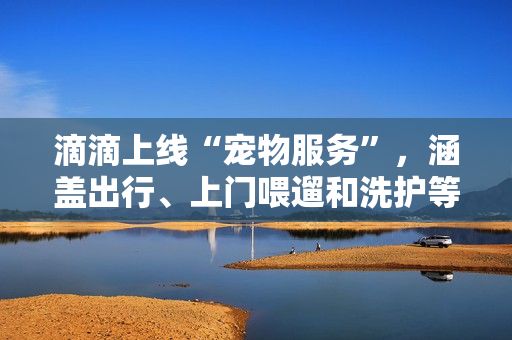 滴滴上线“宠物服务”,涵盖出行、上门喂遛和洗护等 滴滴上线“宠物服务”,涵盖出行、上门喂遛和洗护等