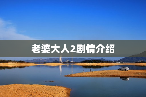 老婆大人2剧情介绍