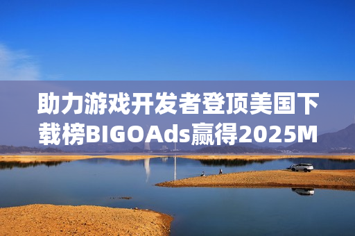 助力游戏开发者登顶美国下载榜BIGOAds赢得2025Morketing灵眸奖认可